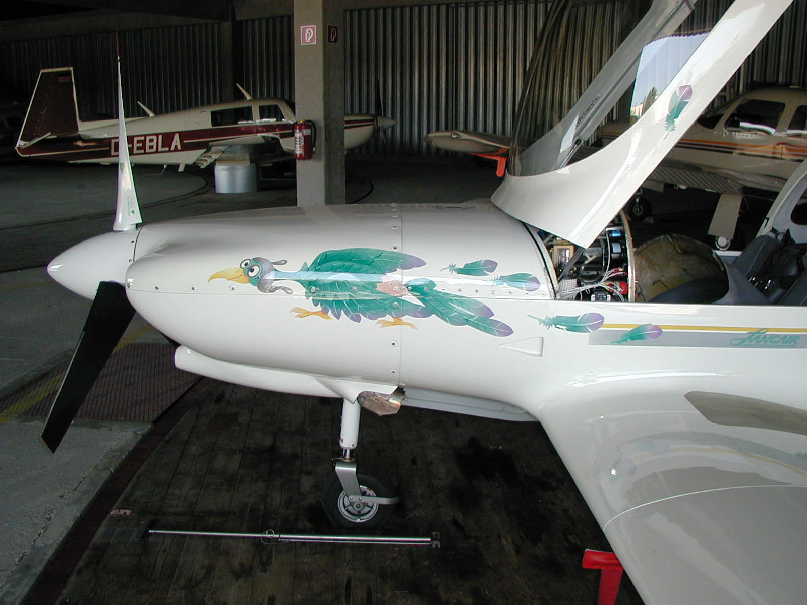 Lancair 320 Mk II Nase mit Vogelmotiv-Lackierung und Lancair-Schriftzug